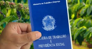 Agropecuária lidera geração de novas vagas de emprego em 2020, diz CNA Agropecuária lidera geração de novas vagas de emprego em 2020, diz CNA