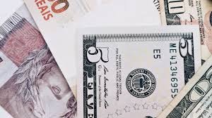 Milho: dólar cai e limita cotações na Bolsa Brasileira Milho: dólar cai e limita cotações na Bolsa Brasileira