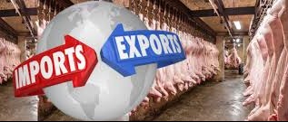 Em nove meses, embarques de carne suína superam todo o ano de 2019; oferta interna segue estável Em nove meses, embarques de carne suína superam todo o ano de 2019; oferta interna segue estável
