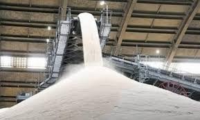 Indústria sucroenergética de MS amplia em 3,5 vezes o volume de açúcar exportado em 2020 Indústria sucroenergética de MS amplia em 3,5 vezes o volume de açúcar exportado em 2020