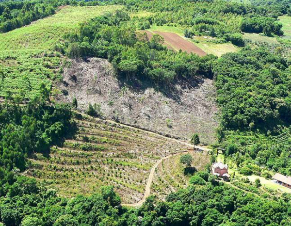 Mais de quatro milhões das 5,1 milhões de propriedades rurais distribuídas no país têm alguma pendência ambiental.Foto: Divulgação