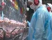BRF recebe aprovação da China para retomar embarque de frango da unidade de Dourados BRF recebe aprovação da China para retomar embarque de frango da unidade de Dourados