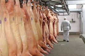 Exportações de carne suína do Mato Grosso do Sul crescem 1.548% em 2020 Exportações de carne suína do Mato Grosso do Sul crescem 1.548% em 2020