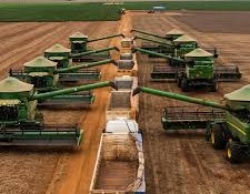 Safra brasileira de soja pode chegar a 133,5 milhões de toneladas, diz Safras Safra brasileira de soja pode chegar a 133,5 milhões de toneladas, diz Safras