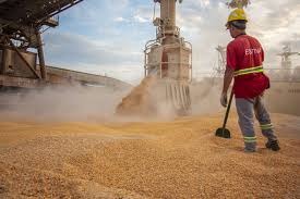 Brasil fecha outubro com mais de 5 milhões de ton de milho exportadas ficando à 9,7 milhões da projeção de 35 milhões Brasil fecha outubro com mais de 5 milhões de ton de milho exportadas ficando à 9,7 milhões da projeção de 35 milhões