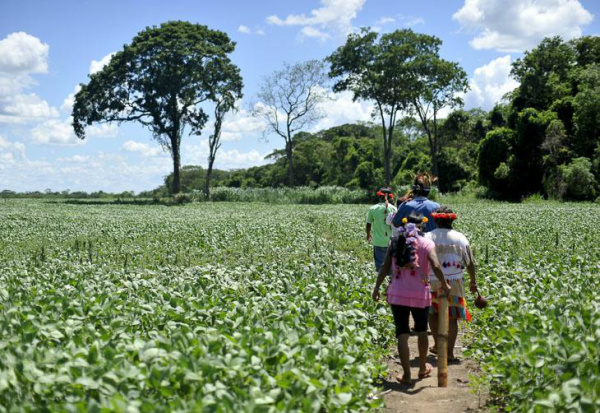 Funai pretende dar aos índios condições para que eles possam tirar a sua subsistência da terra e viver de acordo com o seu modo de vida tradicional.Foto: Marcello Casal Jr./ABr