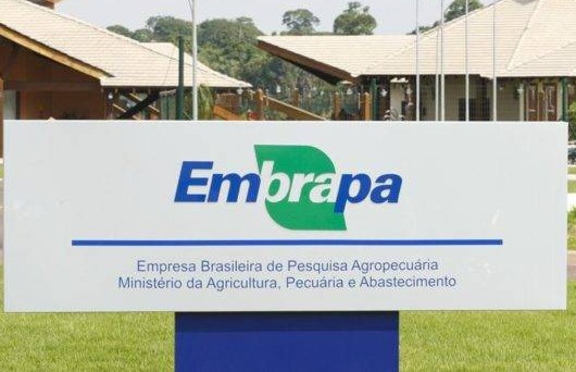 Embrapa registra 1.200 adesões a plano de demissão e anuncia metas até 2030 Embrapa registra 1.200 adesões a plano de demissão e anuncia metas até 2030