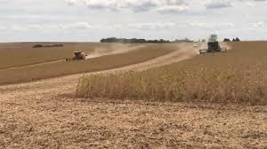 Agricultores de MS tem até 31 de dezembro para terminar plantio e devem registrar área na Iagro Agricultores de MS tem até 31 de dezembro para terminar plantio e devem registrar área na Iagro