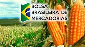 Milho: quarta-feira tem leves altas na Bolsa Brasileira Milho: quarta-feira tem leves altas na Bolsa Brasileira