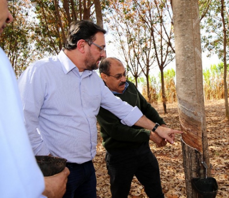 Pioneira em MS, indústria de borracha entra em operação e já tem plano para expandir Pioneira em MS, indústria de borracha entra em operação e já tem plano para expandir