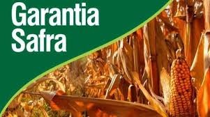 Mais de 197 mil agricultores familiares vão receber benefício do Garantia-Safra de 2019/20 Mais de 197 mil agricultores familiares vão receber benefício do Garantia-Safra de 2019/20
