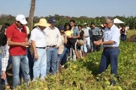 Mais de 10 mil agricultores familiares participam de projeto-piloto de seguro rural