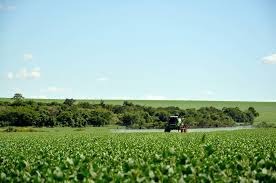 Com 60% comercializada, safra de soja está em pleno desenvolvimento em MS Com 60% comercializada, safra de soja está em pleno desenvolvimento em MS