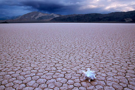 Cientistas avaliam iniciativas globais às mudanças climáticas No encontro anual, os dirigentes da organização vão concluir, até a próxima sexta-feira, um balanço de desafios considerados prioritários,