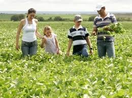 Conab aponta: pequenos produtores aderem ao plantio de soja Conab aponta: pequenos produtores aderem ao plantio de soja