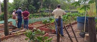 Agraer e Subprefeitura apoiam produtores de hortaliças no Distrito de Anhanduí Agraer e Subprefeitura apoiam produtores de hortaliças no Distrito de Anhanduí