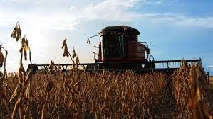 Mato Grosso colhe últimas áreas de soja da safra 2020/21, diz Imea Mato Grosso colhe últimas áreas de soja da safra 2020/21, diz Imea