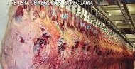 Suspensão de vendas de carne na Argentina favorece Brasil, mas sustenta preço do boi Suspensão de vendas de carne na Argentina favorece Brasil, mas sustenta preço do boi