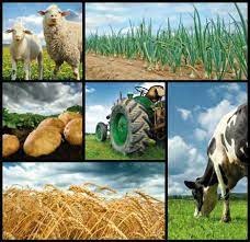 ABCS debate a o papel da política agrícola no crescimento e na sustentabilidade da agropecuária brasileira ABCS debate a o papel da política agrícola no crescimento e na sustentabilidade da agropecuária brasileira
