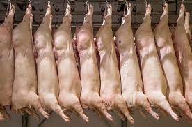 Exportação de carne suína acelera no começo de junho, puxada pela China