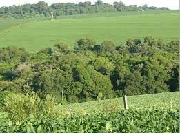Novo sistema dinamiza as análises do Cadastro Ambiental Rural traz benefícios aos produtores rurais em MS