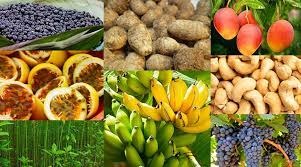 Seis produtos da agricultura familiar terão desconto nas parcelas do Pronaf em junho Seis produtos da agricultura familiar terão desconto nas parcelas do Pronaf em junho