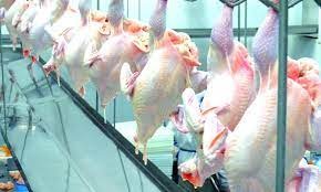 Exportações de carne de frango atingem 90% do faturamento de junho/20 em 13 dias úteis Exportações de carne de frango atingem 90% do faturamento de junho/20 em 13 dias úteis
