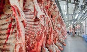 Volume exportado de carne bovina registra avanço na 3ª semana de Junho