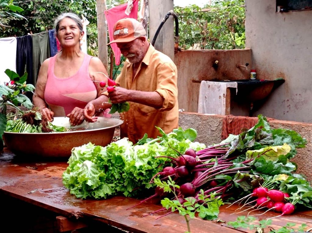 Dia Mundial da Agricultura Familiar: ações do Governo de MS transformam a vida de 43,2 mil famílias Dia Mundial da Agricultura Familiar: ações do Governo de MS transformam a vida de 43,2 mil famílias