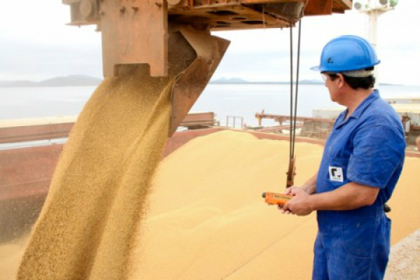 Estão previstos também o apoio ao desenvolvimento de produtos e processos das indústrias de alimentos e o desenvolvimento de máquinas e equipamentos para a agropecuária e processamento de produtos. Foto: Divulgação