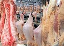 Trimestrais da pecuária/IBGE: apontam queda no abate de bovinos e crescimento no de suínos e de frangos no 2º tri de 2021 Trimestrais da pecuária/IBGE: apontam queda no abate de bovinos e crescimento no de suínos e de frangos no 2º tri de 2021