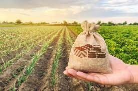 Diagnóstico da propriedade é o primeiro passo para alcançar resultado financeiro do negócio rural Diagnóstico da propriedade é o primeiro passo para alcançar resultado financeiro do negócio rural
