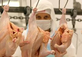 Frango: agosto termina com mercado estável Frango: agosto termina com mercado estável