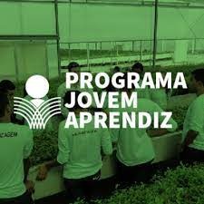 Em Chapadão do Sul, Senar/MS certifica alunos do programa Seja Senar Jovem Aprendiz Rural Em Chapadão do Sul, Senar/MS certifica alunos do programa Seja Senar Jovem Aprendiz Rural