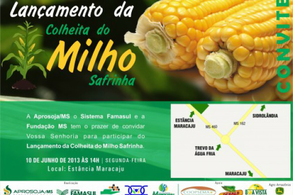 Na próxima segunda-feira (10), a Associação dos Produtores de Soja (Aprosoja/MS) fará a abertura oficial da colheita do milho safrinha em Maracaju.Foto: Divulgação