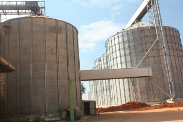 O estoque de milho cresceu 50,8% em dezembro de 2012, na comparação com o mesmo período de 2011.Foto: Divulgação