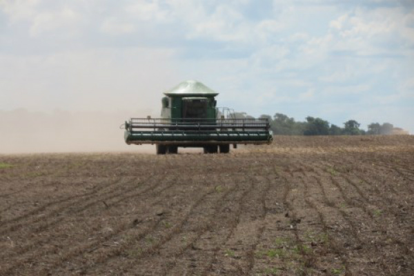 MS mantém calendário do vazio sanitário da soja Repetindo o calendário do ano passado, Mato Grosso do Sul vive o período conhecido como vazio sanitário, pelo qual fica proibido por três meses o plantio de soja.Foto: Divulgação