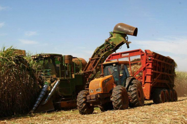 Chuvas devem limitar volume de cana moída na safra 2013/2014 Região Centro-Sul registrou chuvas acima da média nos dois primeiros meses da temporada.Foto: Divulgação/Siamig