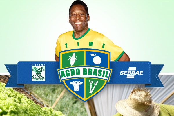 Comissão de Agricultura do Senado aprova lei para criação de regras claras para sistemas de integração agroindustrial Time Agro Brasil. (Foto: Beefpoint)