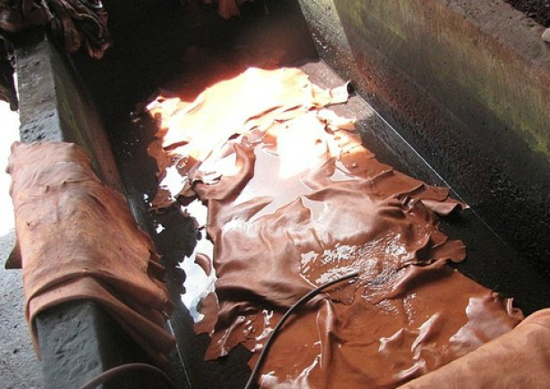 Senar/MS capacita com curso para utilização do couro Couro sendo preparado para utilização em diversas áreas. (Foto: Vida de Viajante)