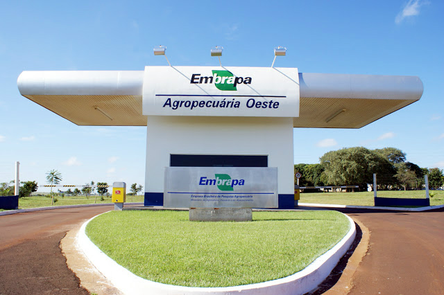 Embrapa de Dourados fará fórum técnico-científico sobre soja Embrapa Dourados sedia fórum para debater cultura da soja na sexta-feira. (Foto: Divulgação)