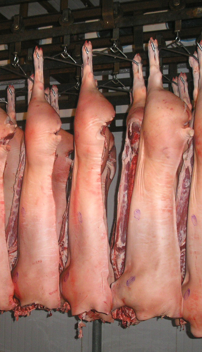 Brasil exportou 52.341 toneladas de carne suína em agosto Brasil exportou 52.341 toneladas de carne suína em agosto