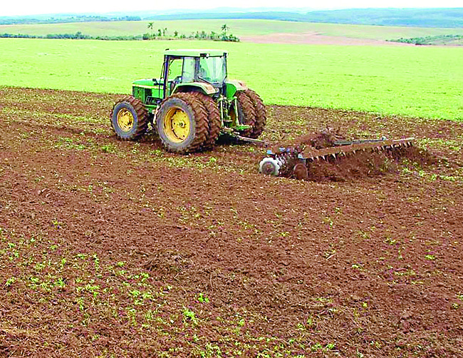 Com fim do vazio sanitário, inicia período do plantio de soja em MS Estratégia contra o fungo da ferrugem asiática e outras pragas. (Foto: Divulgação)