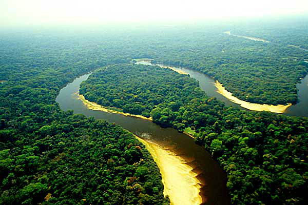 Novo Código Florestal entra em pauta para em 2013. (Foto: Divulgação)
