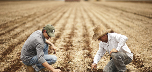 Produtores rurais têm dificuldade para encontrar mão de obra qualificada ontratar mão de obra no campo não é uma tarefa fácil. Muitos trabalhadores já abandonaram o campo em busca de uma oportunidade nas grandes cidades. (Foto: Aprosoja)