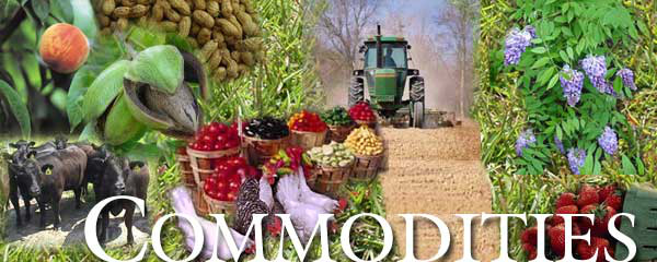 Muito além das Commodities Muito além das Commodities. (Foto: Divulgação)