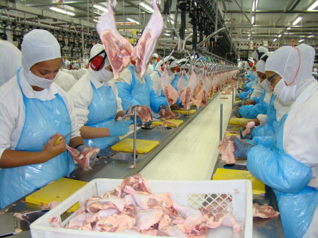 As carnes, por sua vez, exportaram US$ 183,45 milhões a mais em fevereiro deste ano. Foto: div