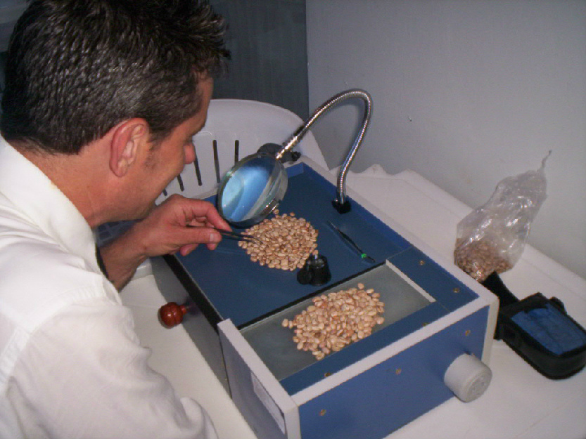 profissional capacitado e equipado para a realização de classificação de grãos. (Foto: Divulgação) 