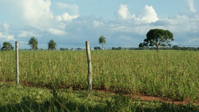 Terras que podem ser retiradas de agricultores. Fonte: Divulgação