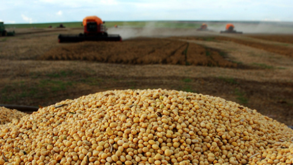 Com a produção e a procura da soja em alta, a venda antecipada aumenta em todo Brasil. Foto: Divulgação